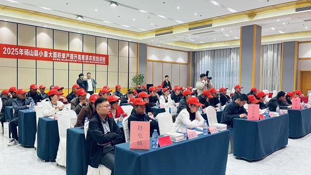 图片11.png