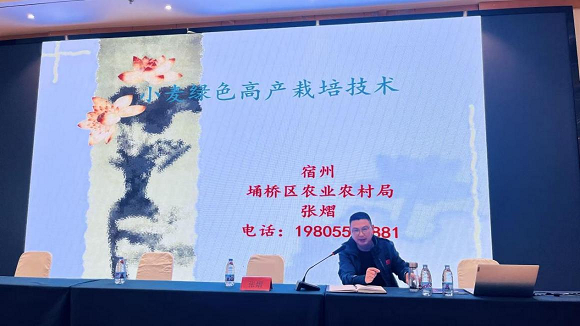 图片12.png